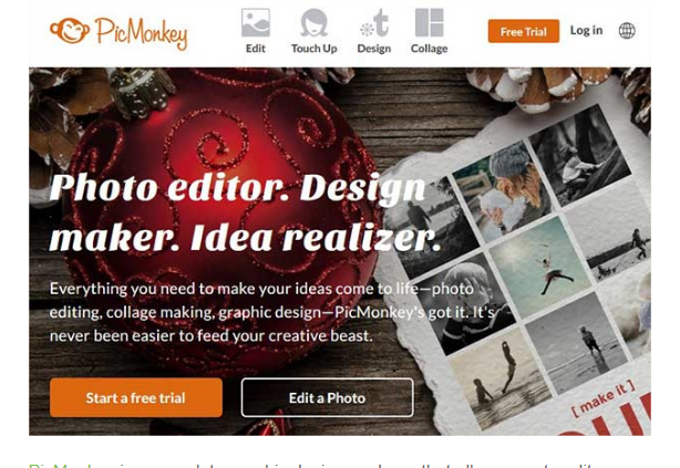 20 Instagram Tools for Photo Editing PICMONKEY sample