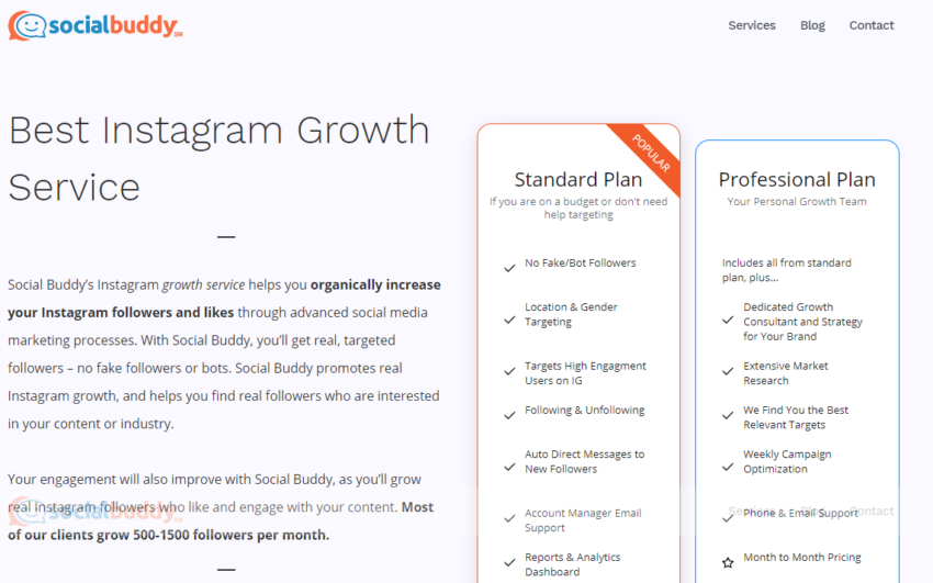 What are Instagram Growth Services Socialbuddy Example