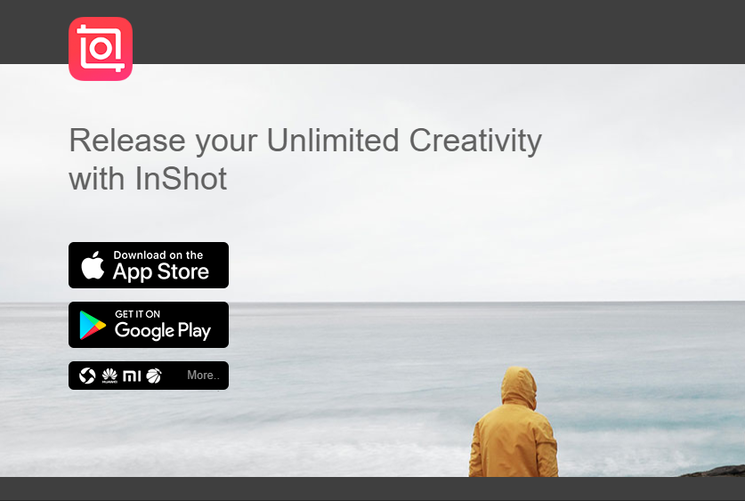 21 Best Apps for Creating Instagram Stories-INSHOT