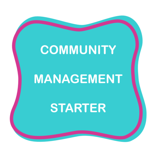 Instagram community management starter
