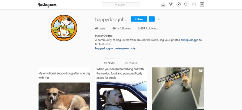 Happy Doggo Expert Instagram Content Management Tips