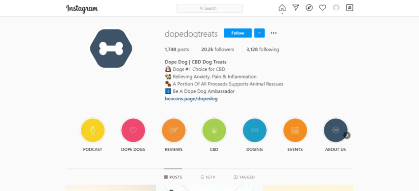 dopedog Instagram Reels Tips To Grow Your Instagram Account