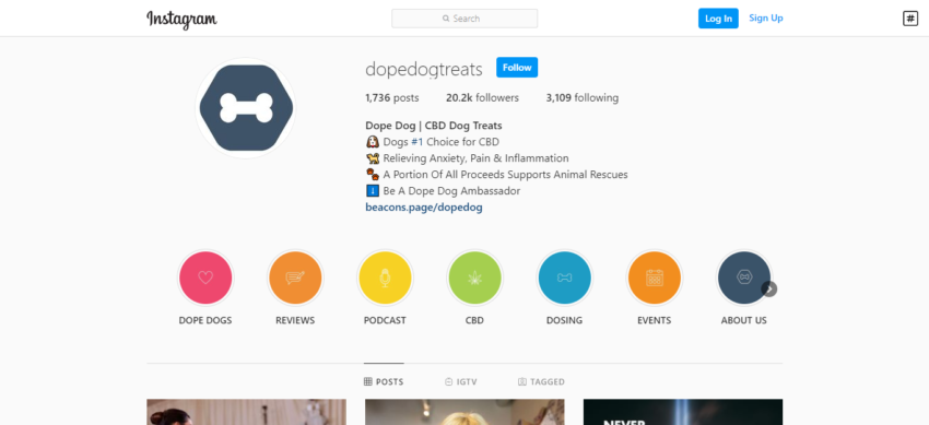 Dopedog Instagram ecommerce sales tips